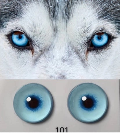 Dog simulation eyes, animal simulation eyes, glass hemisphere DIY