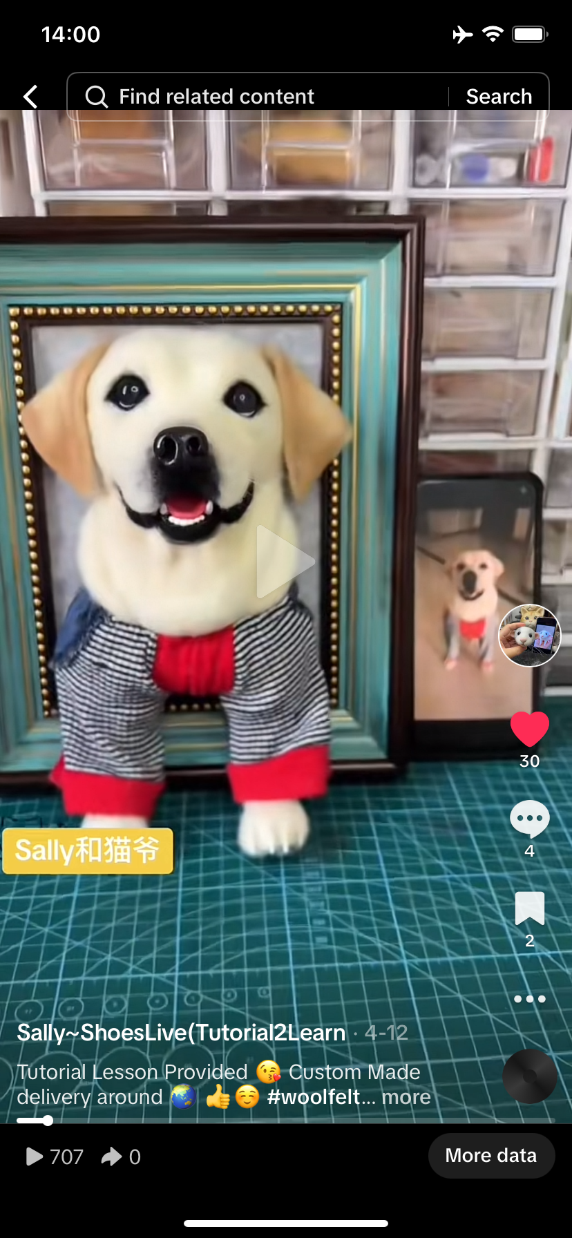Dog~Customize Wool-Felt