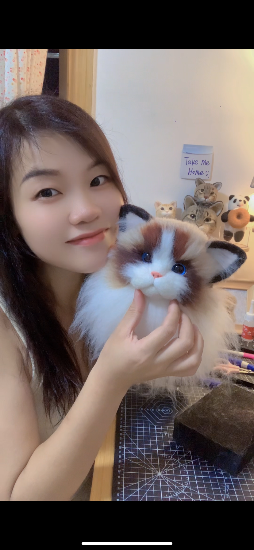Cat~Customize Wool-Felt