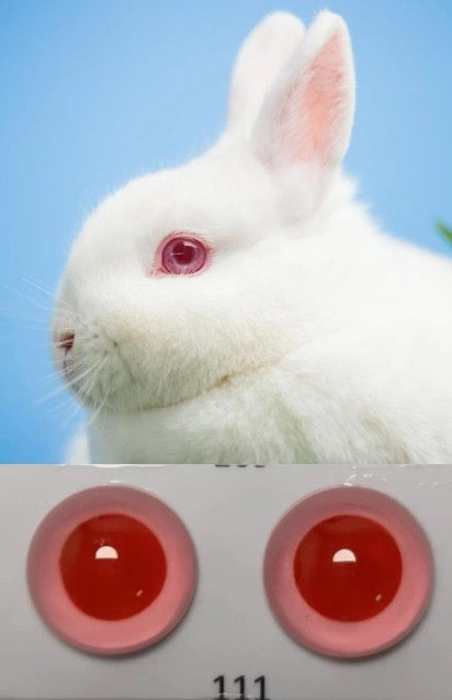 Dog simulation eyes, animal simulation eyes, glass hemisphere DIY