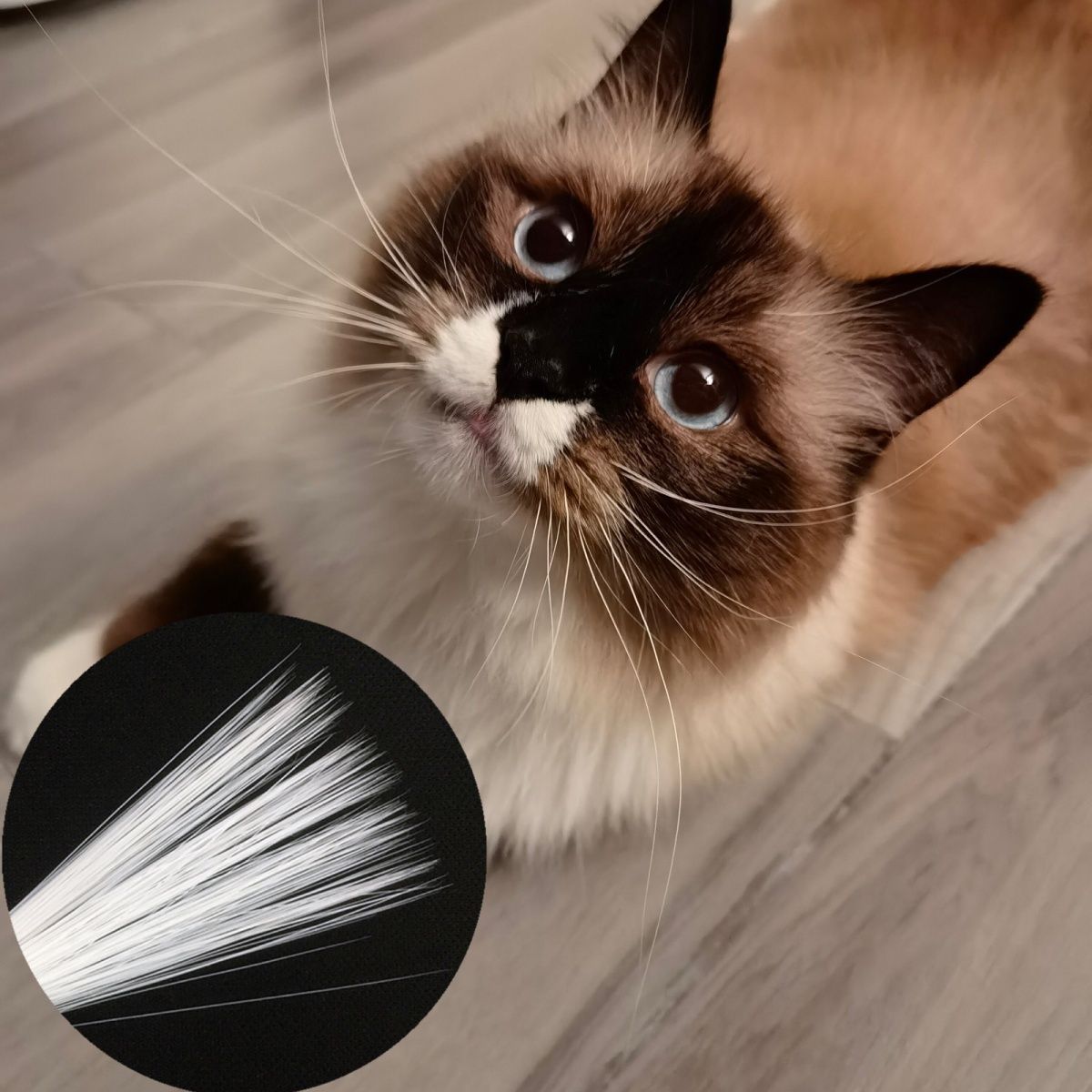 Cat Beard Simulation Wool Felt Puncture DIY Handmade (200 pieces)