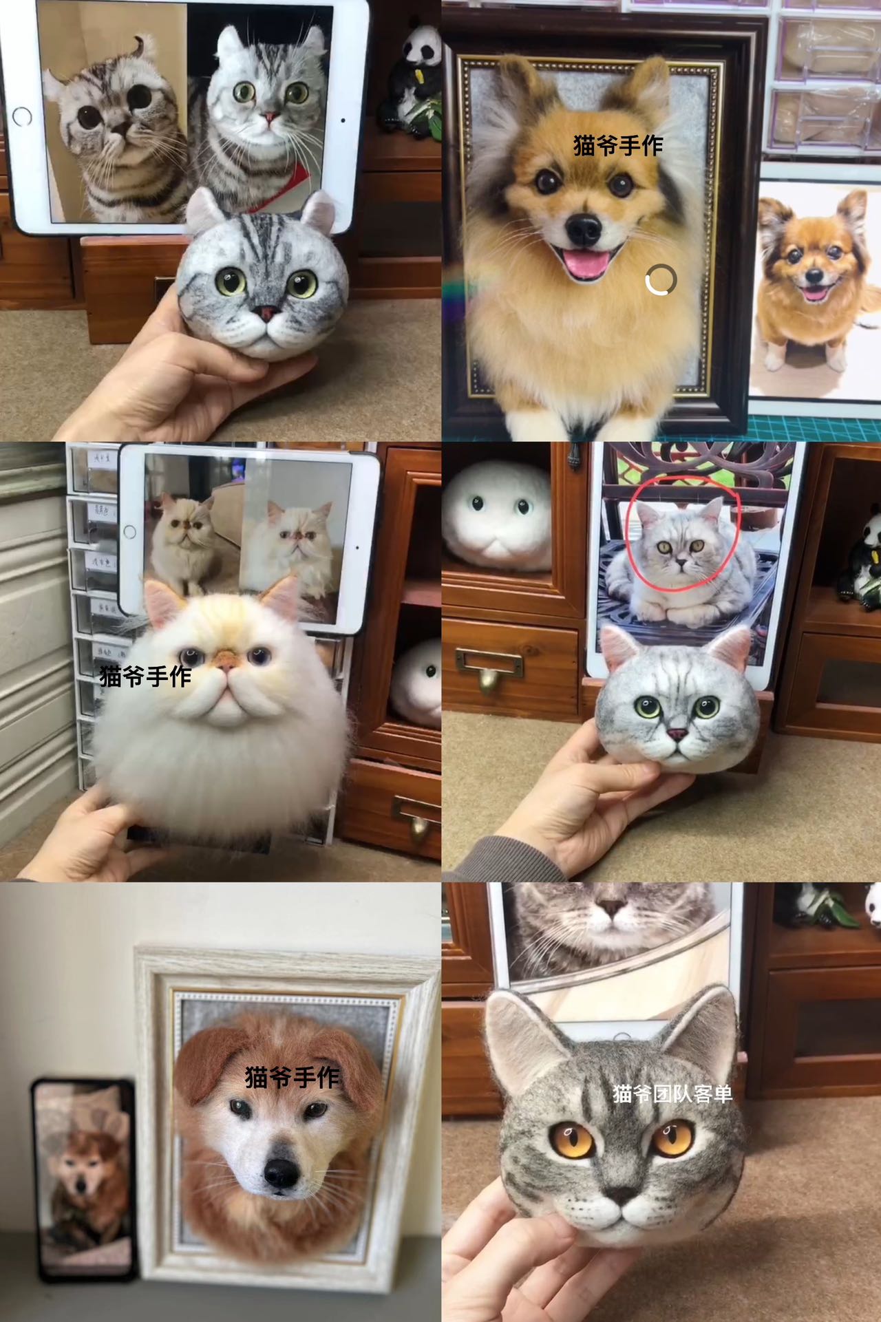 Tutorial Woolfelt Pet-by S.M(Sally和猫爷)